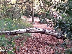 Curvy amateur flasher Evas outdoor striptease and exhibitionism