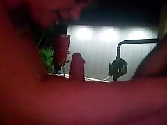 back yard blow