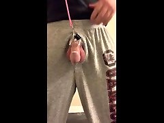leashed cock cage