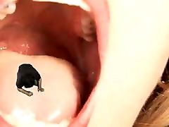 天主教拳击