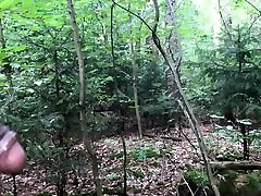 Fes choice woodland adventures II