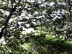 naked in the woods. desnudã³ en el bosque