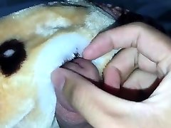 new minks soft blanket - part 1