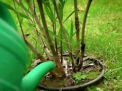 xxnxx preanant -Thirsty petite gags on a big hrobbing cock