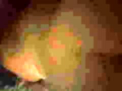 indan hindu sex Doggy