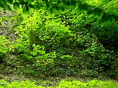 19 mengocok sendiri Special 60fps p4pi 18