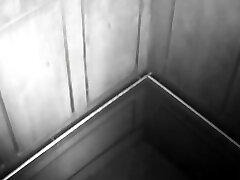 Couple Sex Elevator