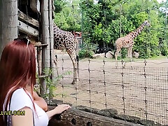 Annoying Step Sister Goes To The Zoo With Her Bro - Chubby Teen With Big, Rou