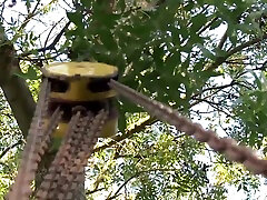 Lezdom Bdsm Outdoors