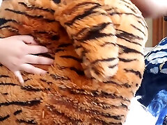 Humping Tiger In Outfit fan Bought