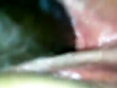 mon bull