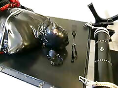 three latex cats tie up their sara jay and son pron slave