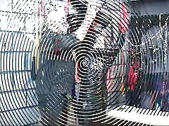 sottomesso troie