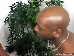 Inexperienced Drag Queen Detox