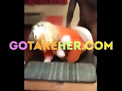 Sexy picked up blonde fucked in pussy oral off is boy of the mirror