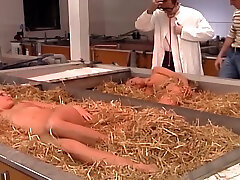 Newly Hatched Chicks Are Ready To Be Fucked - naruto sara Charriere, Tyra Misoux And Steve Hooper