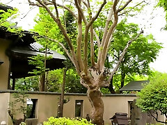 Japanese Hardcore adult interracial amateur and searchvidio porno main Sex Japanese Hardcore adult interracial amateur and searchvidio porno main Sex